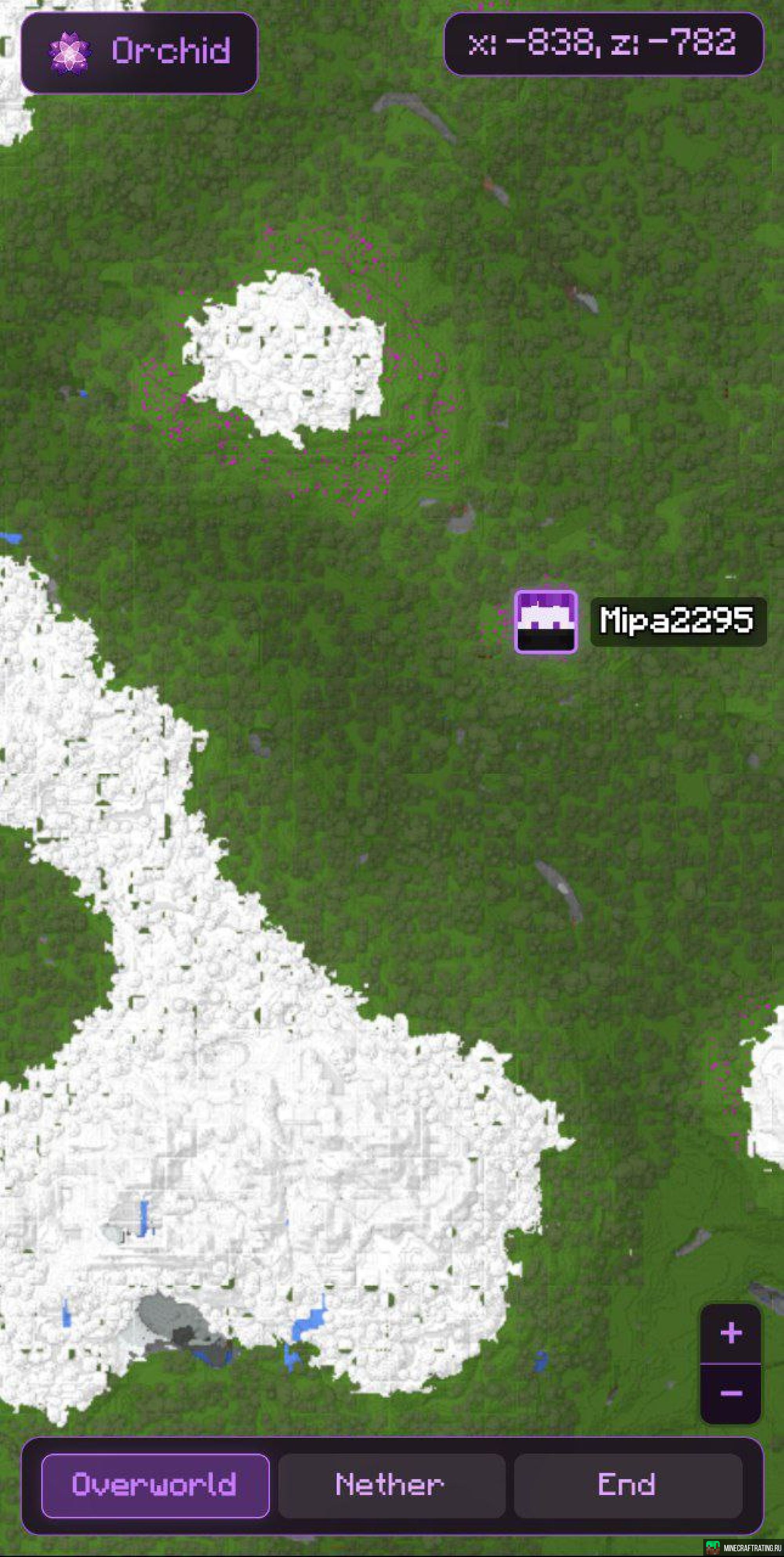 Скриншот Орхидея сервер Майнкрафт