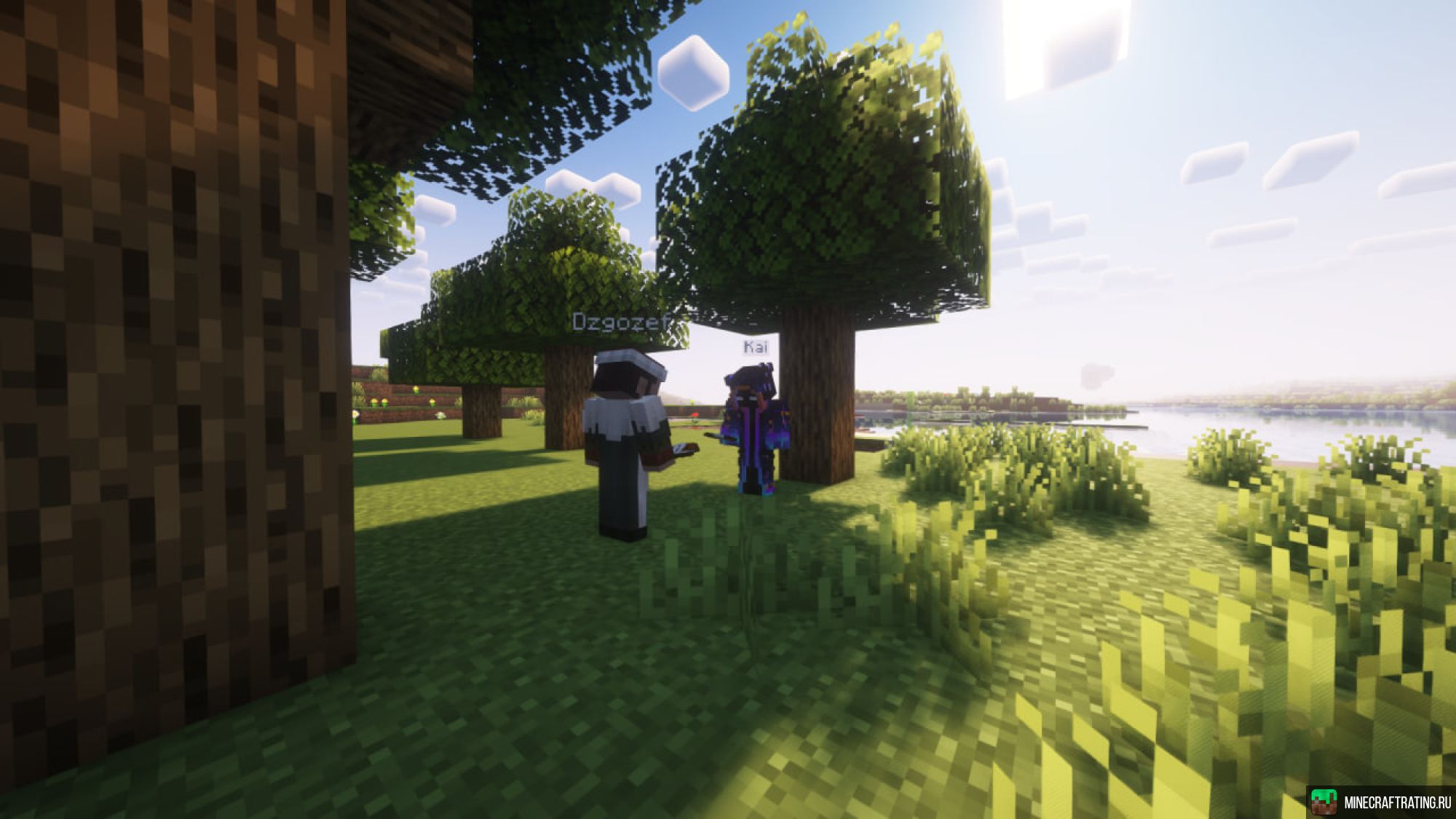 Скриншот МайнКантри сервер Майнкрафт