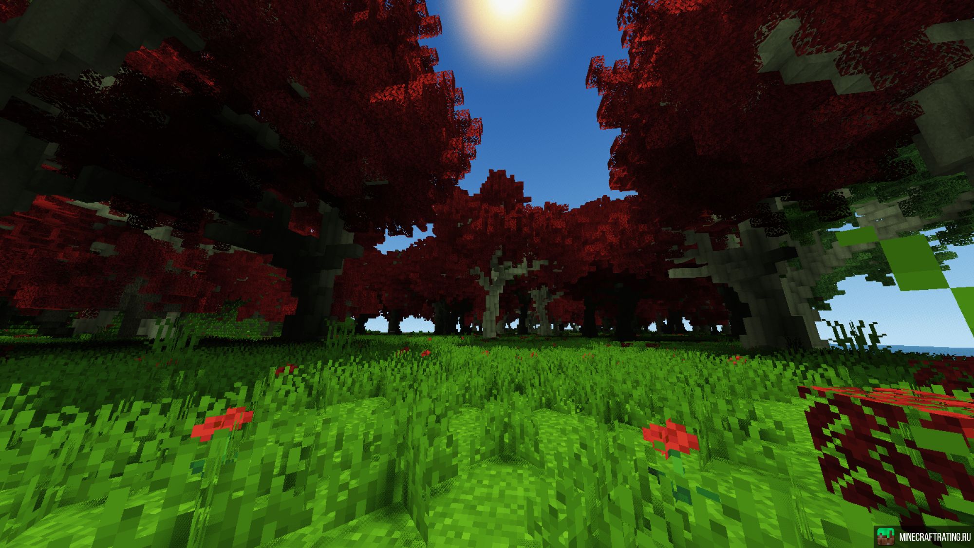 Скриншот TimeNova сервер Майнкрафт