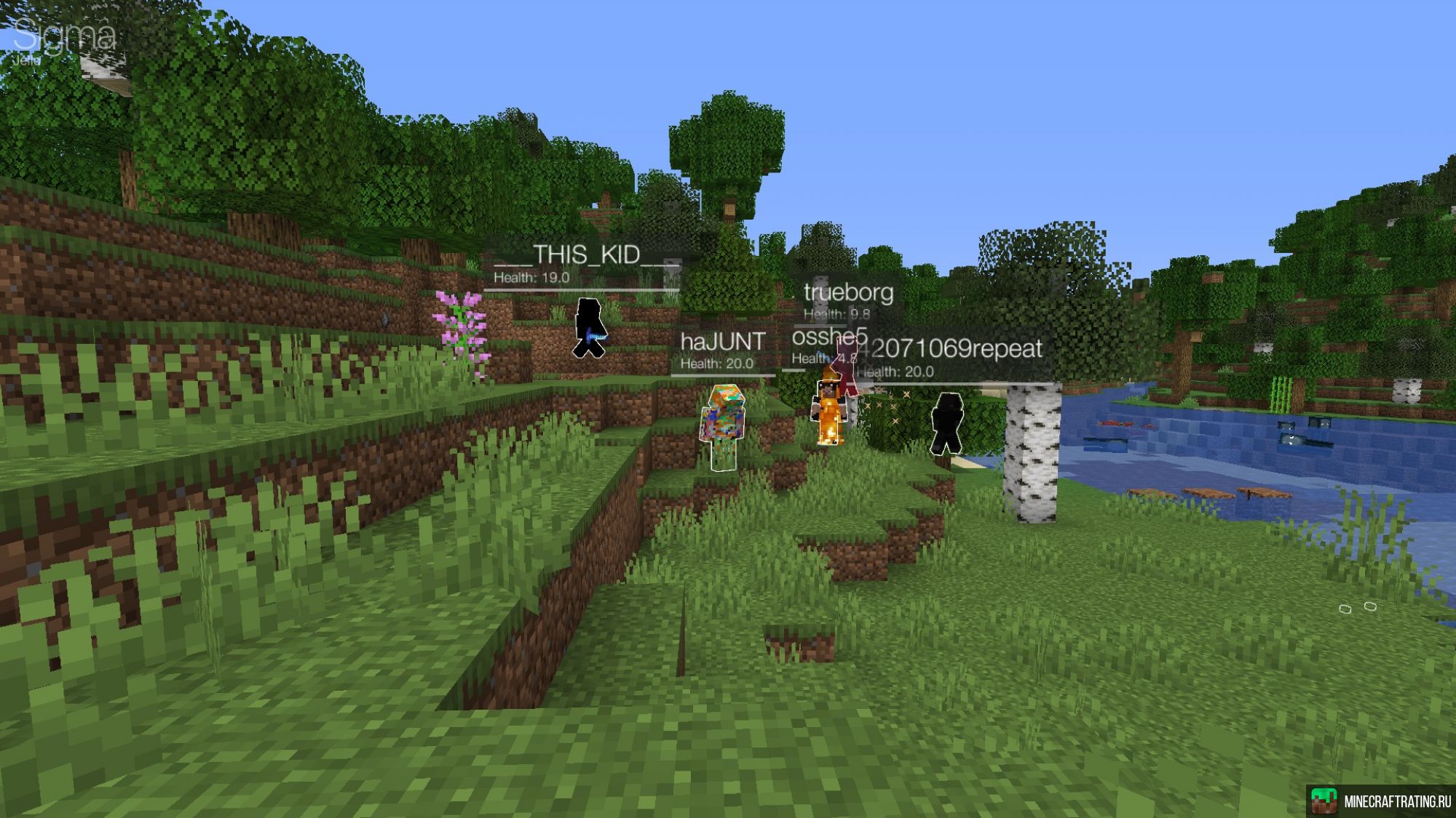 Скриншот Absolute Vanilla Anarchy Survival сервер Майнкрафт