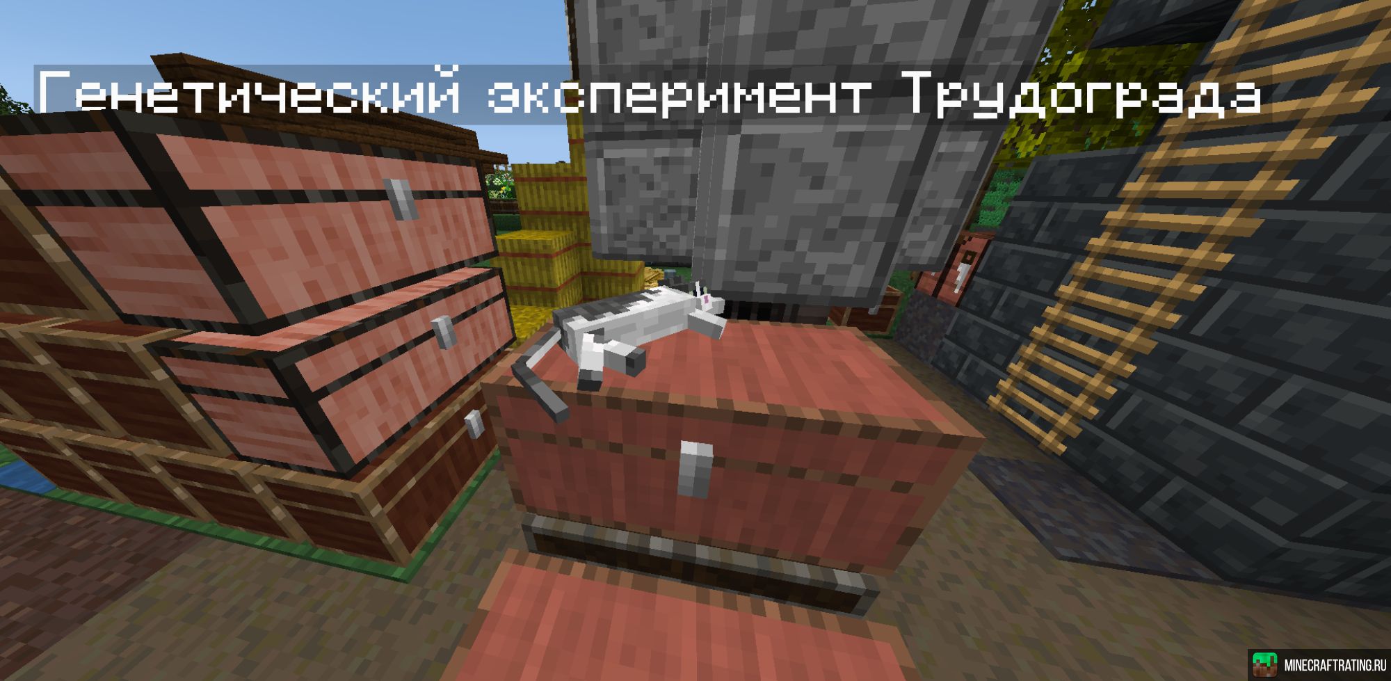 Скриншот Primitive.su! TFC, Towny, Create. сервер Майнкрафт