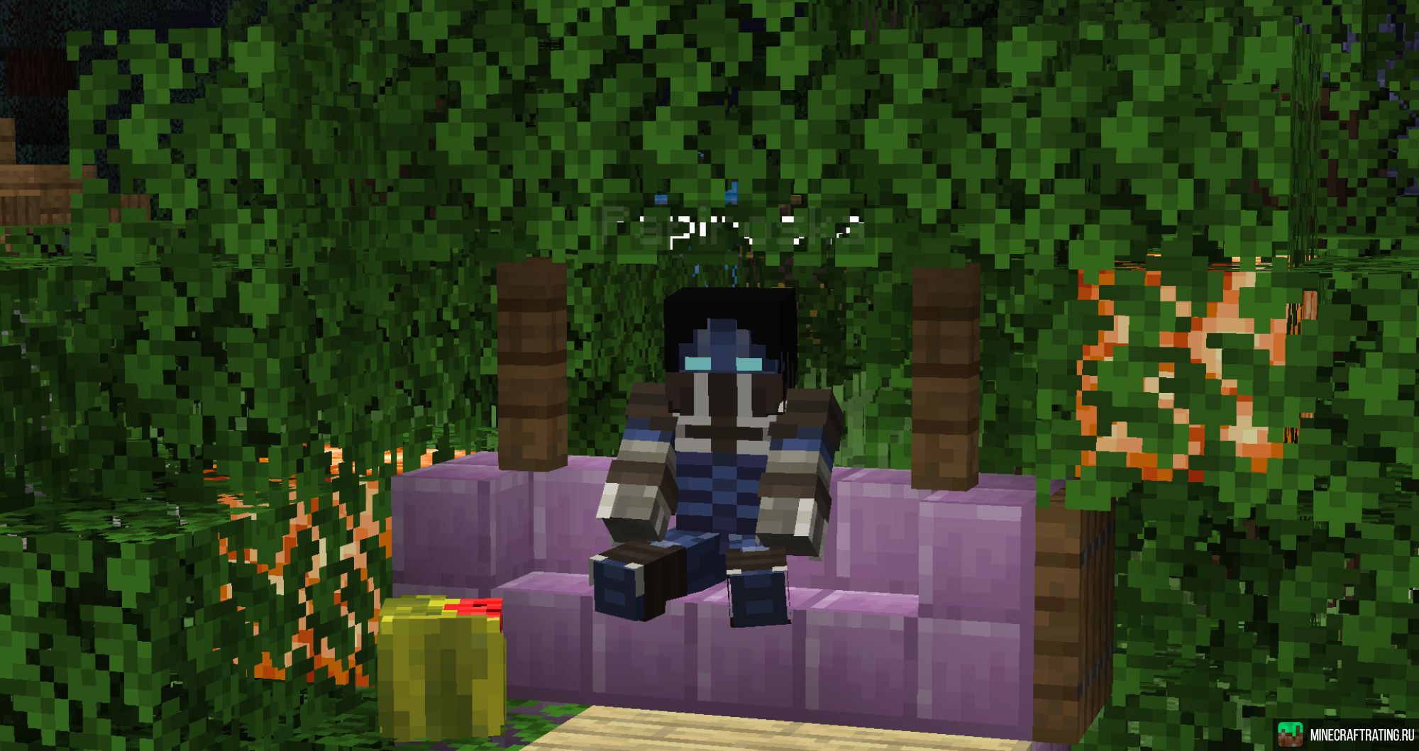 Скриншот ✅Донат за игровые монеты, питомцы, кастомные чары сервер Майнкрафт