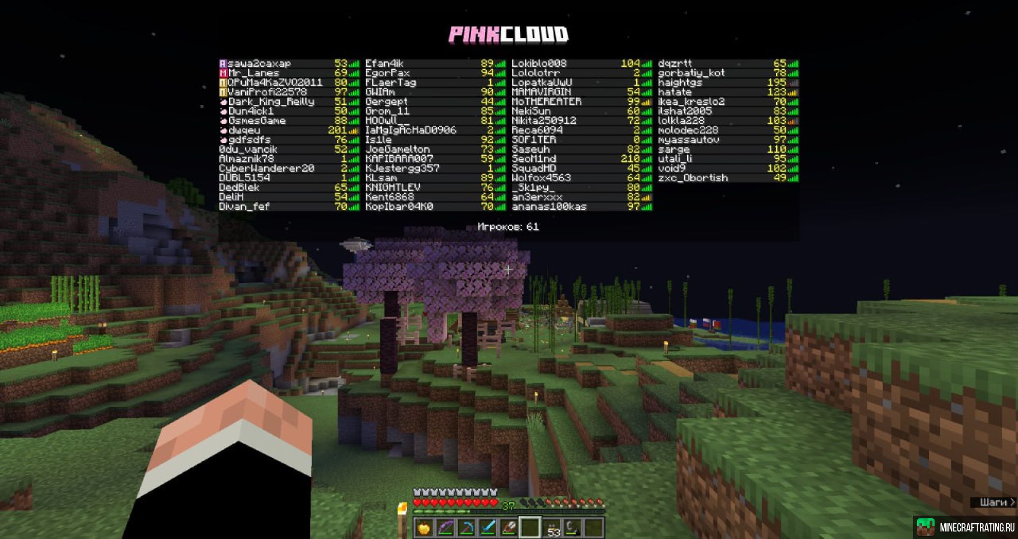 Скриншот PinkCloud сервер Майнкрафт