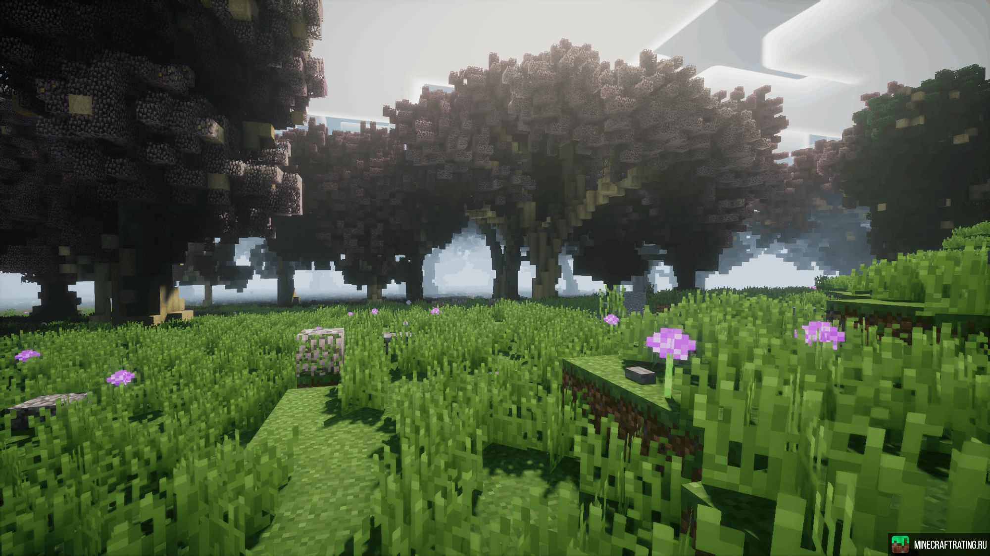 Скриншот Vanilla+ без модов сервер Майнкрафт